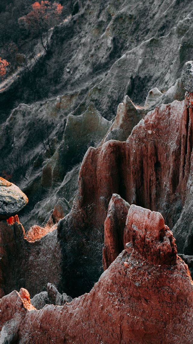 640x1136 brown rock formation during daytime - animal iPhone Wallpaper