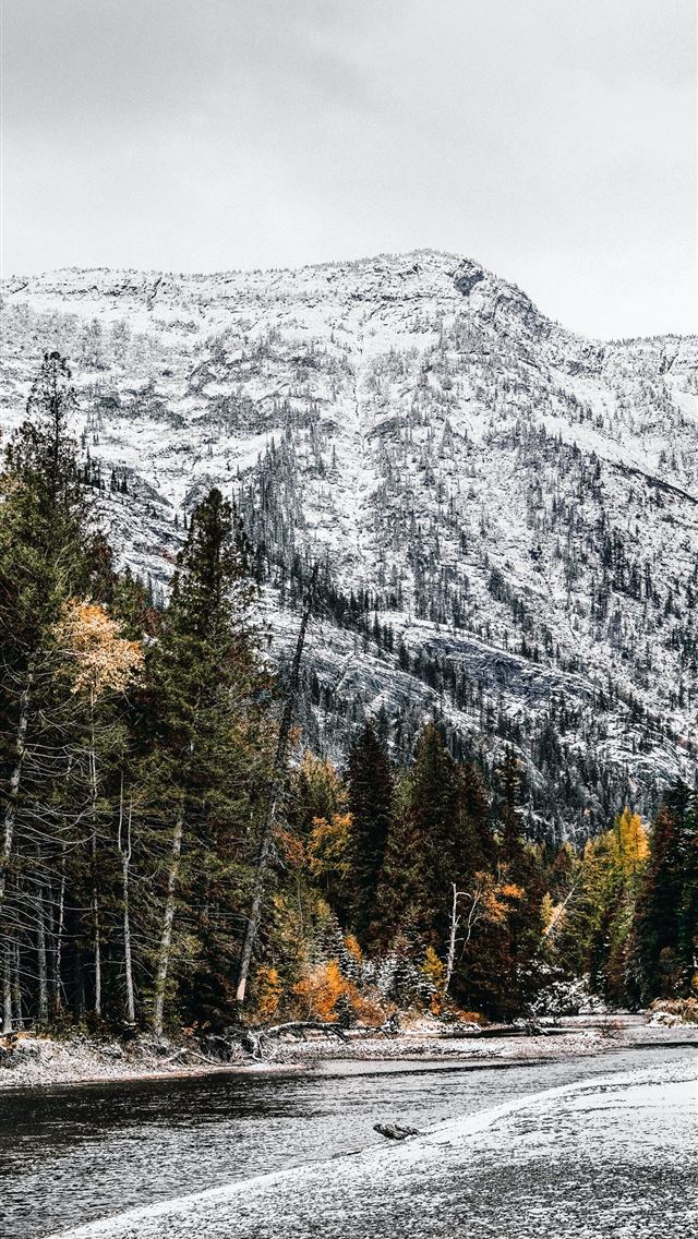 640x1136 Sony a7iii 70 200 canon 2 8 - usa iPhone Wallpaper
