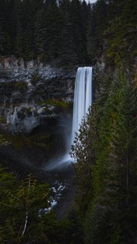 time lapse photography of waterfalls by trees unde... wallpaper