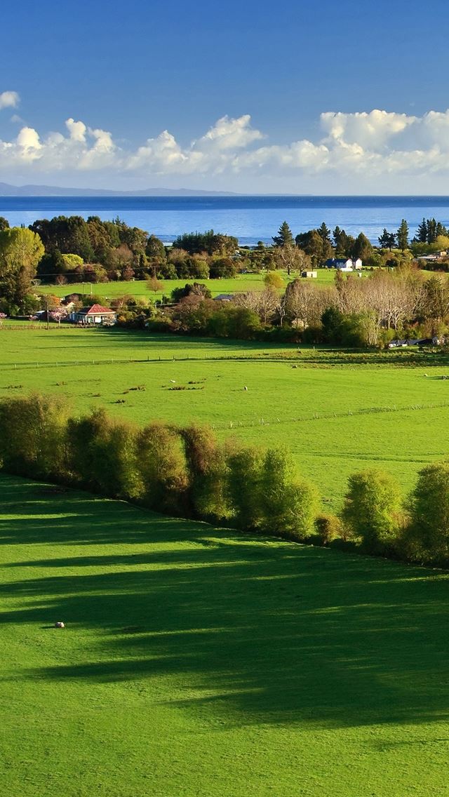 640x1136 Amazing Green Landscape - grass iPhone Wallpaper