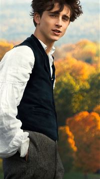 timothee chalamet in little women wallpaper