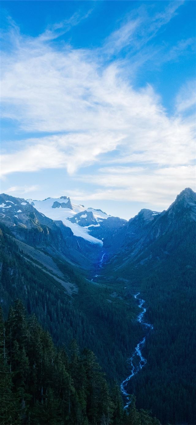 1125x2436 hoh river in washington state 5k - 5k iPhone X Wallpaper