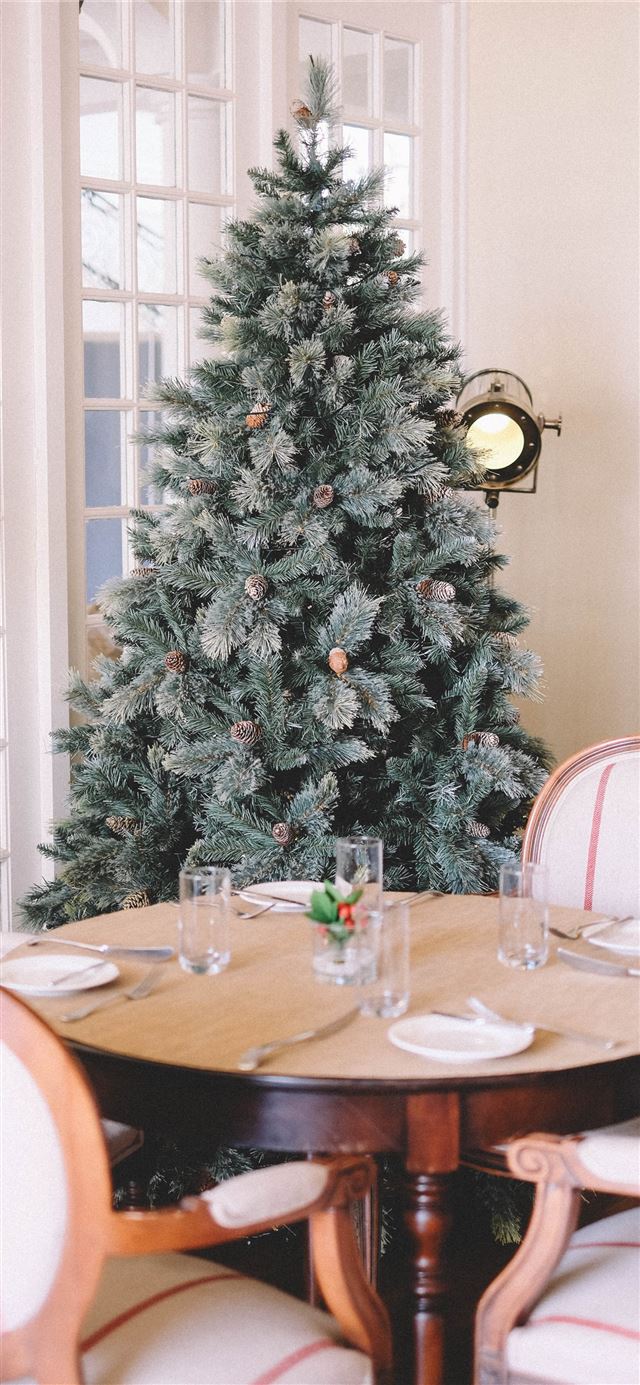 1125x2436 pre lit tree behind dining set - holiday iPhone X Wallpaper