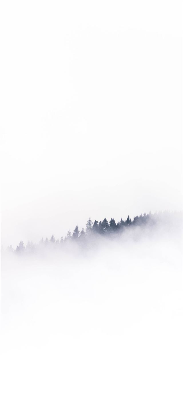 1125x2436 Zell am See - black iPhone X Wallpaper
