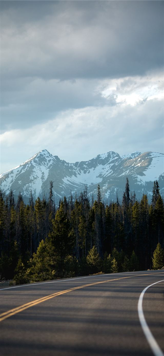 1125x2436 green trees beside black asphalt road - landscape iPhone X Wallpaper