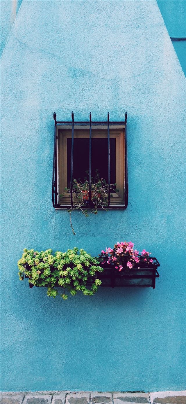 1125x2436 window with frame above green and pink petaled flo... - window iPhone X Wallpaper