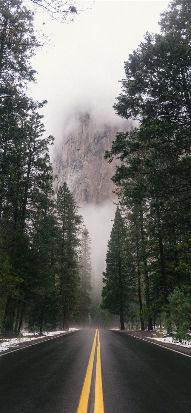 1125x2436 black concrete road surrounded by trees during day... - mountain iPhone X Wallpaper
