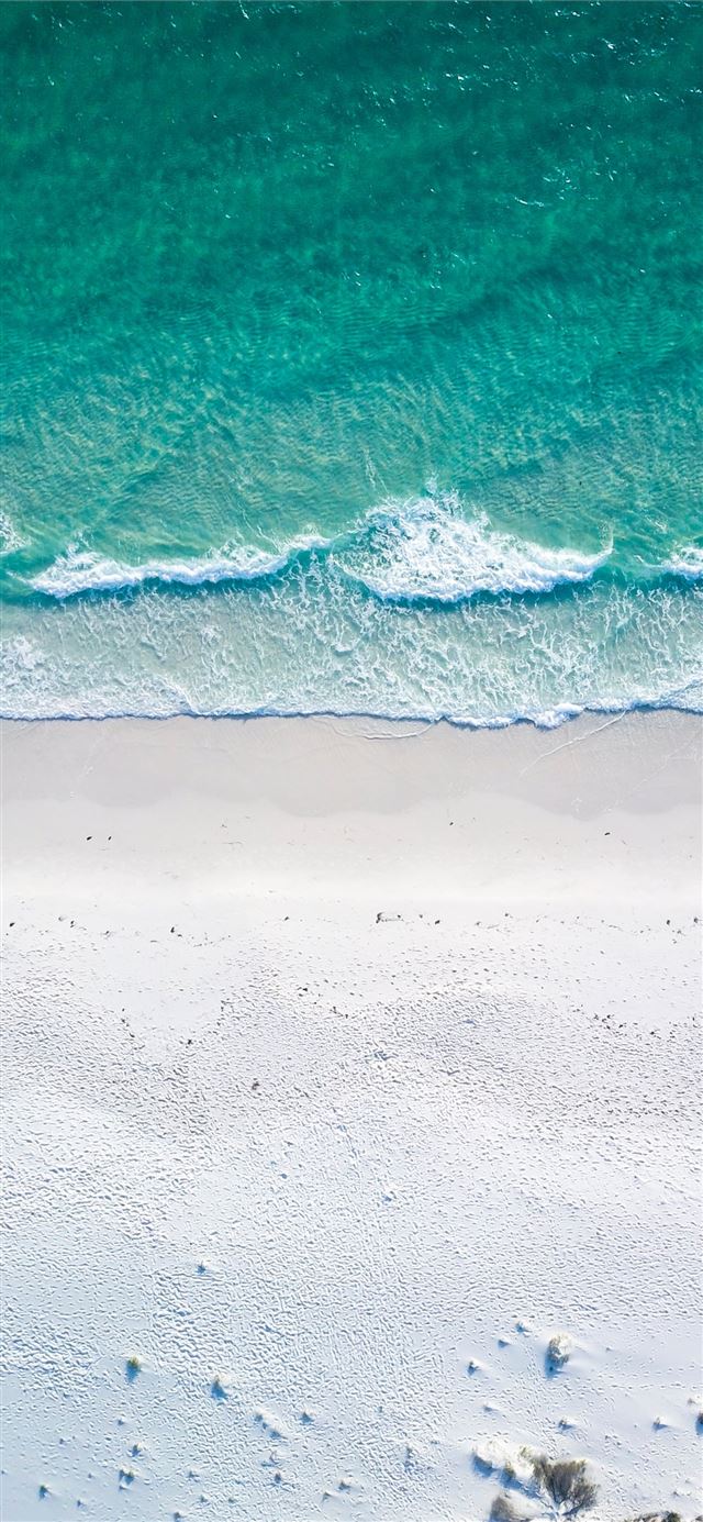 1125x2436 beach during daytime -  iPhone X Wallpaper