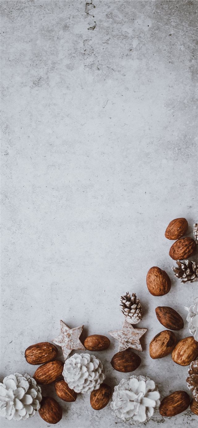 1125x2436 brown nuts and pinecone lot - winter iPhone X Wallpaper