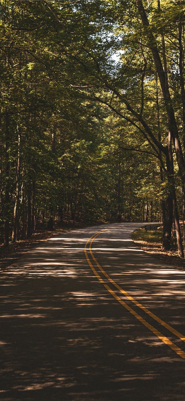 1125x2436 road surrounded by trees during day - usa iPhone X Wallpaper