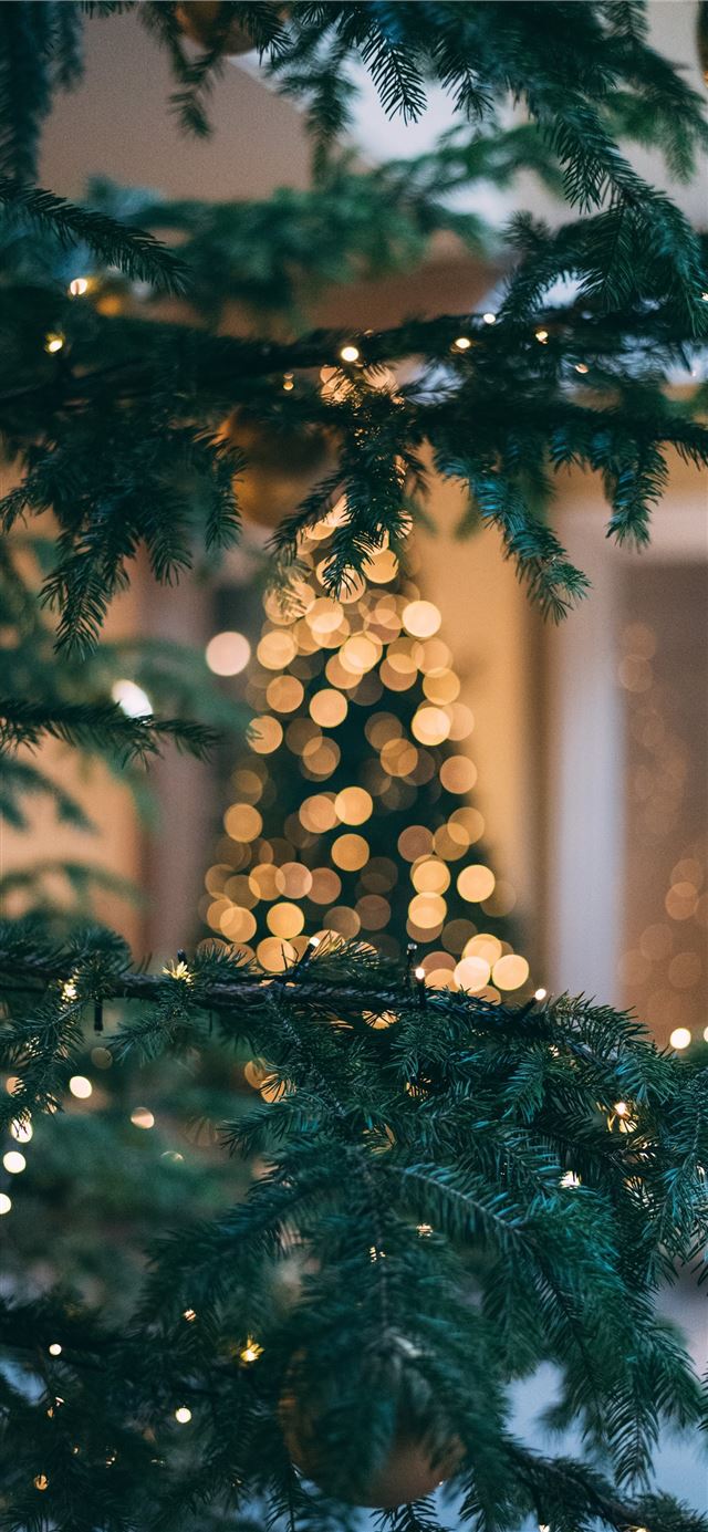 1125x2436 Christmas tree with string lights - winter iPhone X Wallpaper