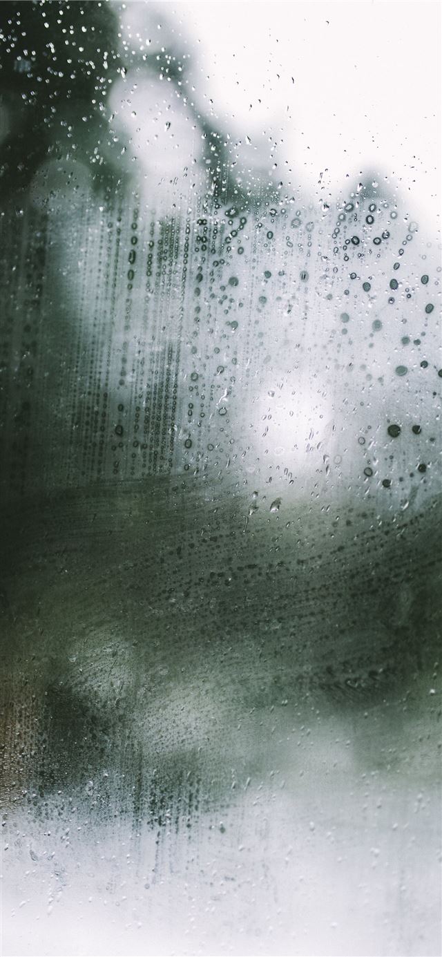 1125x2436 Condensation and fresh raindrops against the windo... -  iPhone X Wallpaper