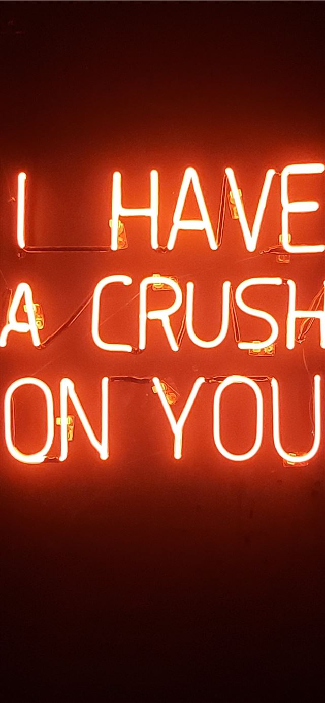 1125x2436 orange i have a crush on you neon light signage - brazil iPhone X Wallpaper