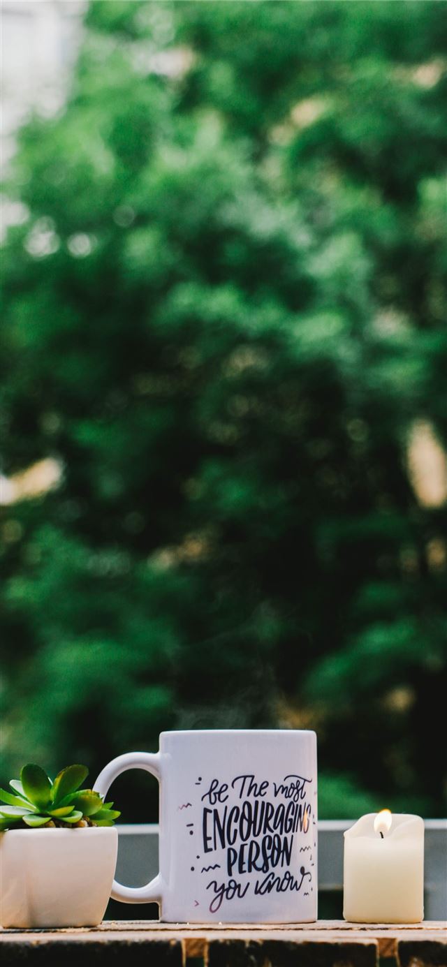 1125x2436 shallow focus photography of white mug and succule... - green iPhone X Wallpaper