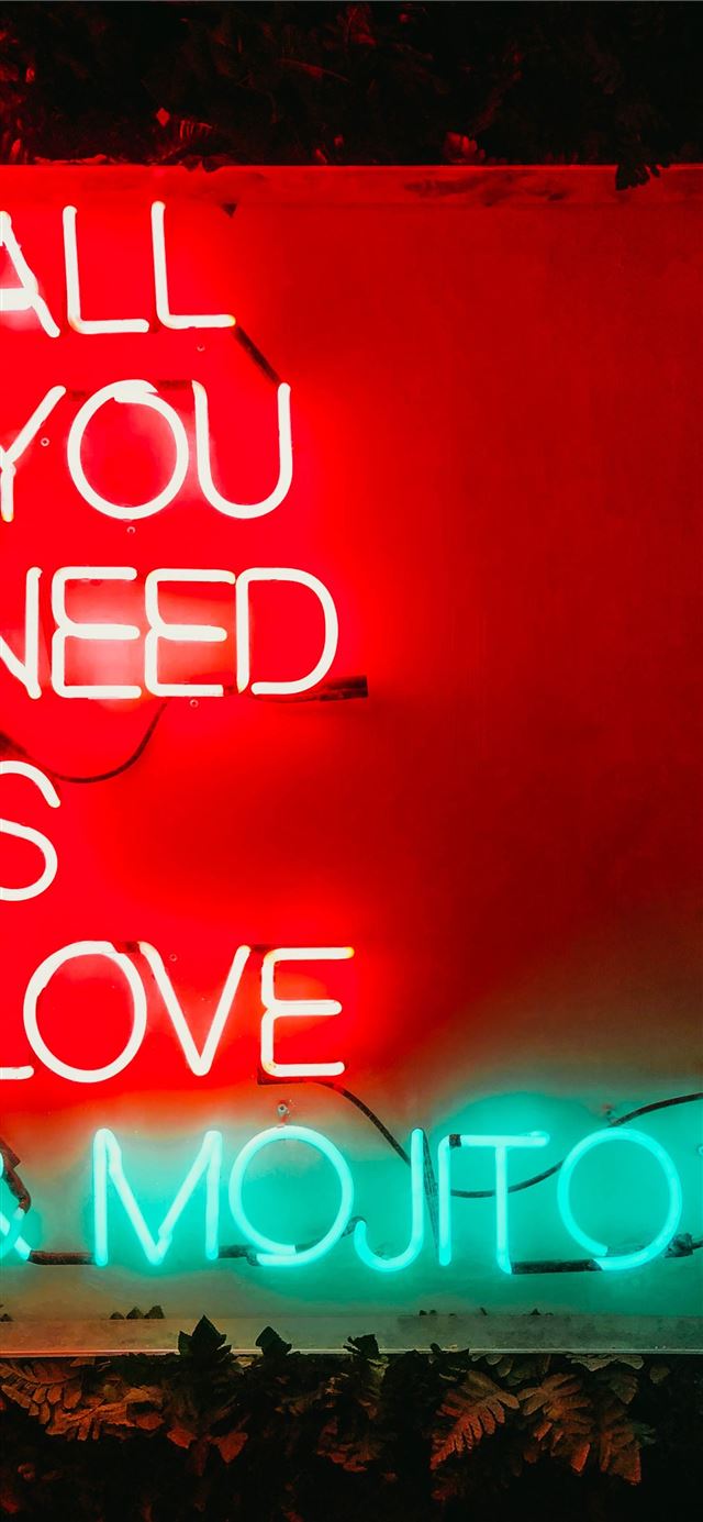 1125x2436 red and green all you need is love and mojitos neo... - neon iPhone X Wallpaper