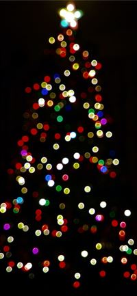 multicolored lighted Christmas tree wallpaper