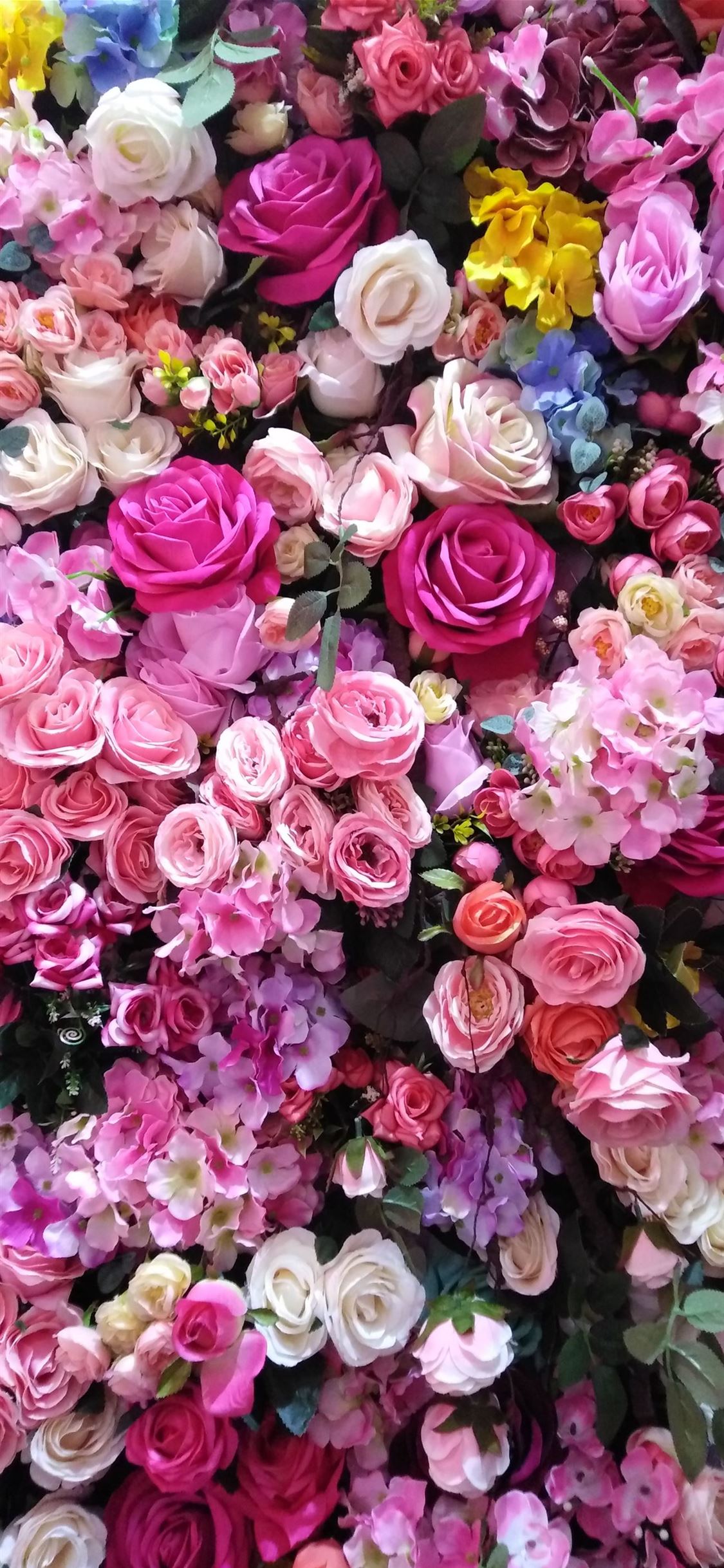 Flower Wallpaper Pictures  Download Free Images on Unsplash