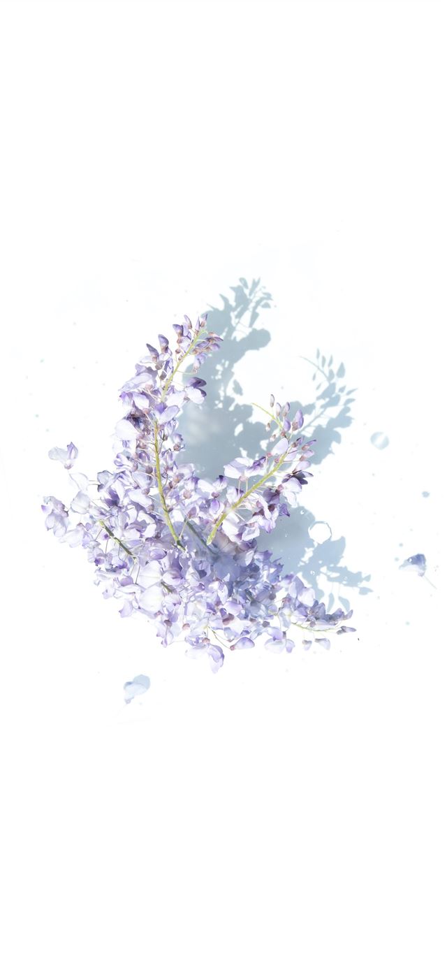 1125x2436 purple and gray graphic -  iPhone X Wallpaper