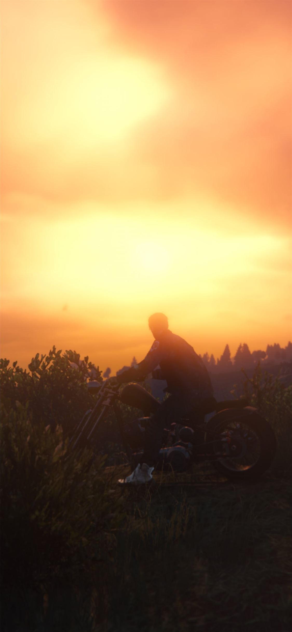 Gta V Sunset Scenic In game Grand Theft Auto V for... iPhone Wallpapers ...