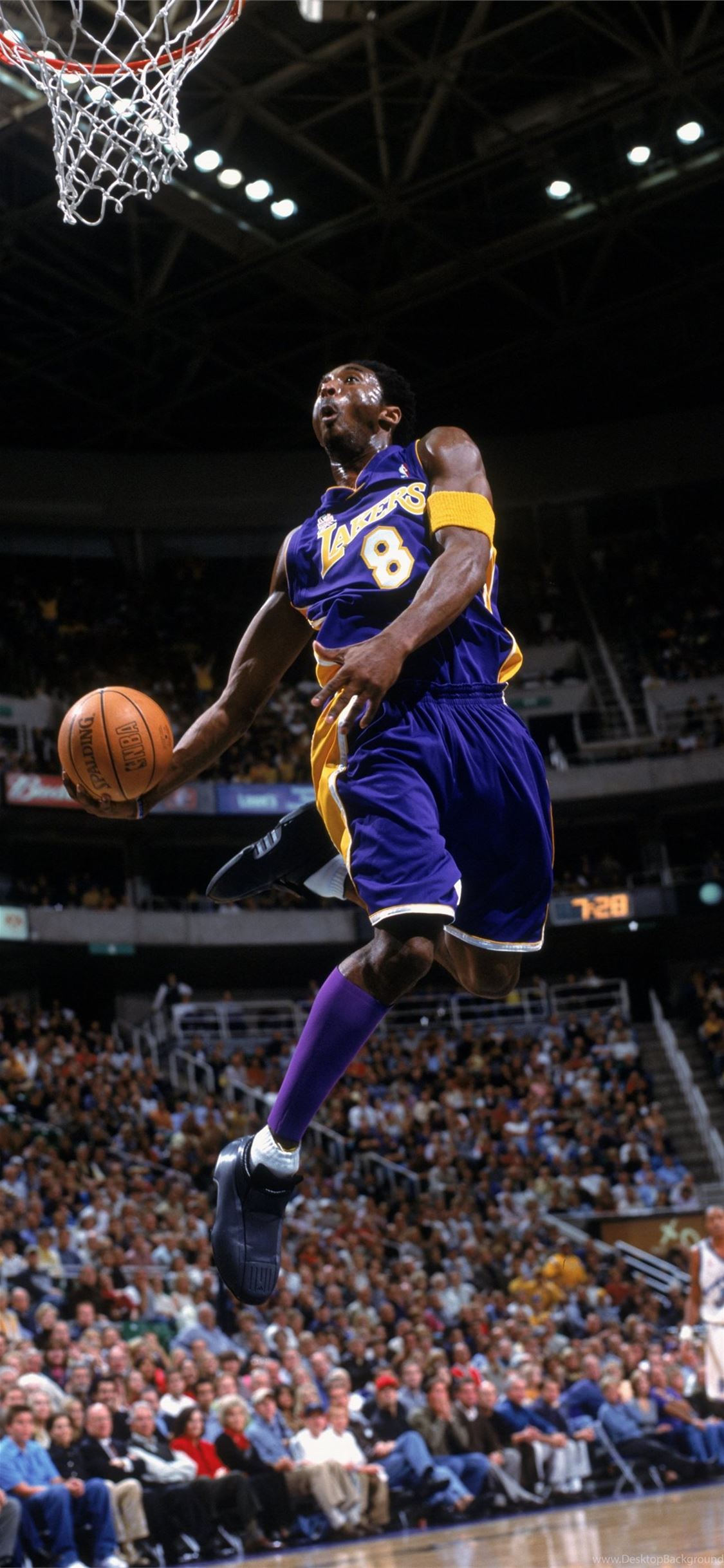 Kobe bryant hotsell number 8 dunk