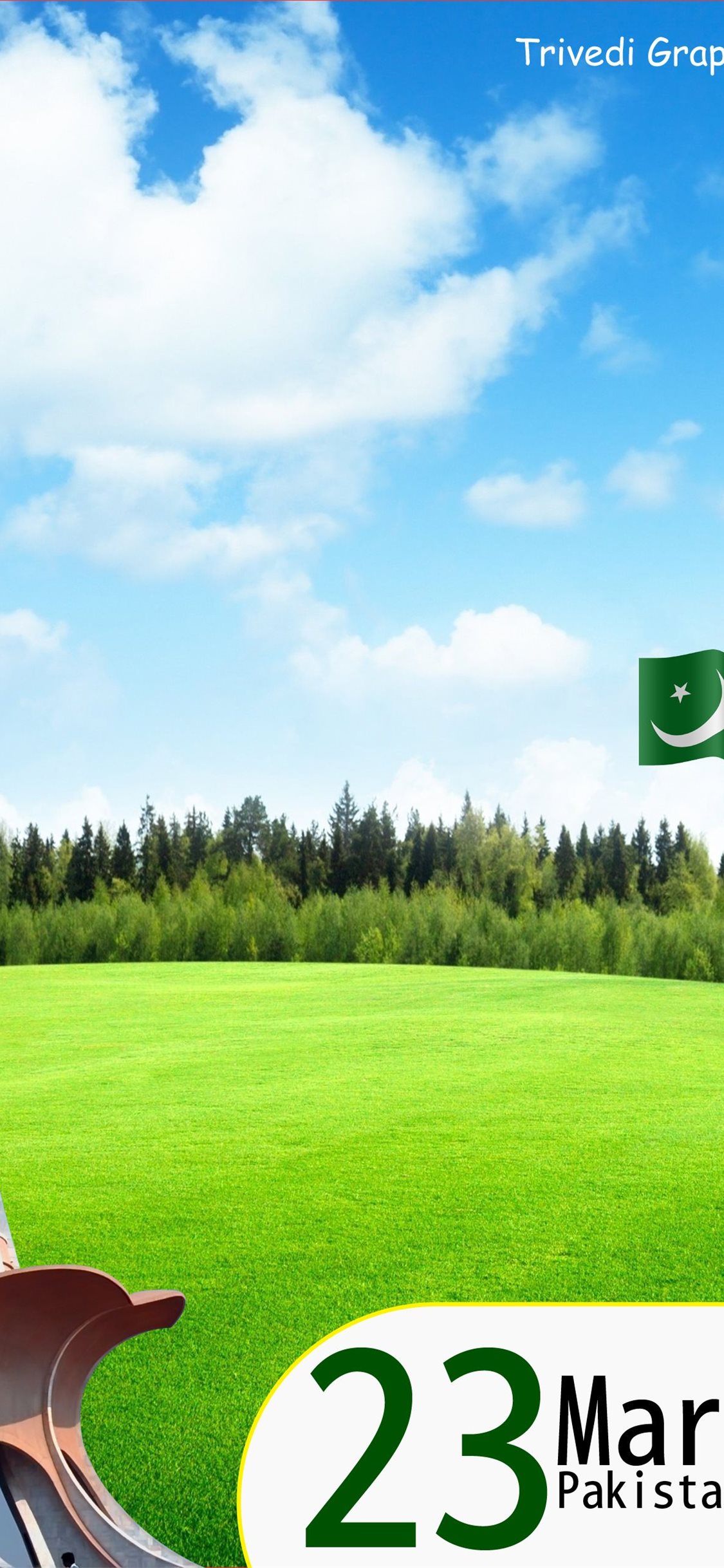 pakistan flag iPhone Wallpapers Free Download
