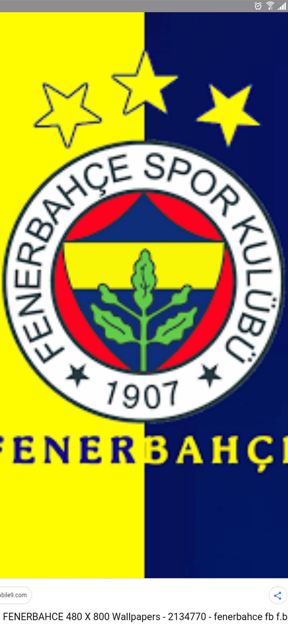 fenerbahce sk iPhone Wallpapers Free Download
