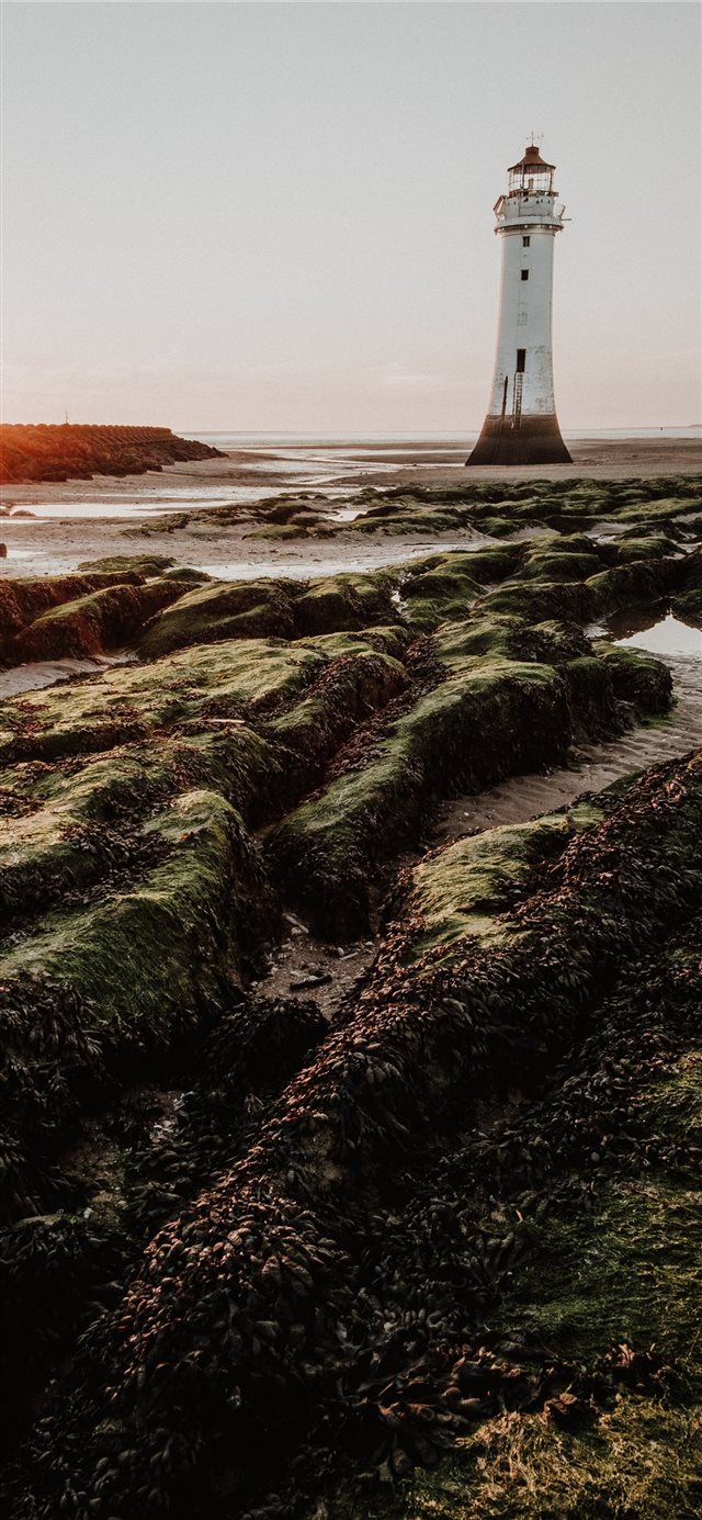 5 Wallpapers In vsco Wallpapers For iPhone X