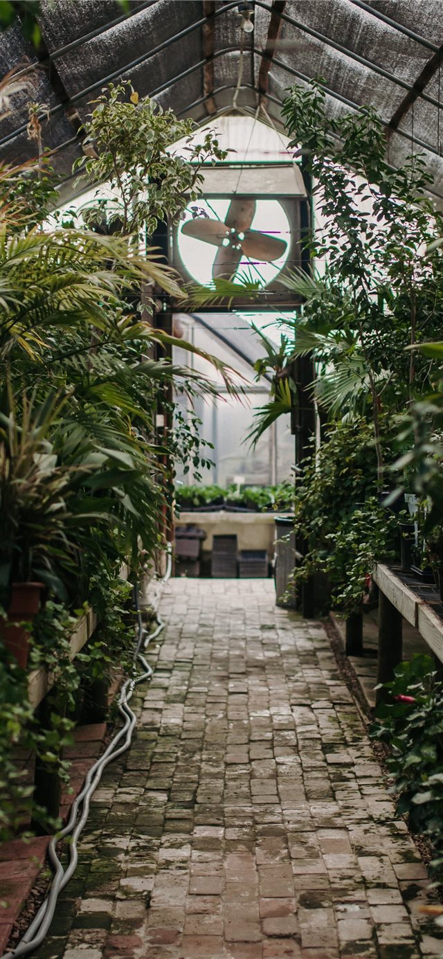 2 Wallpapers In crisp Wallpapers For iPhone X