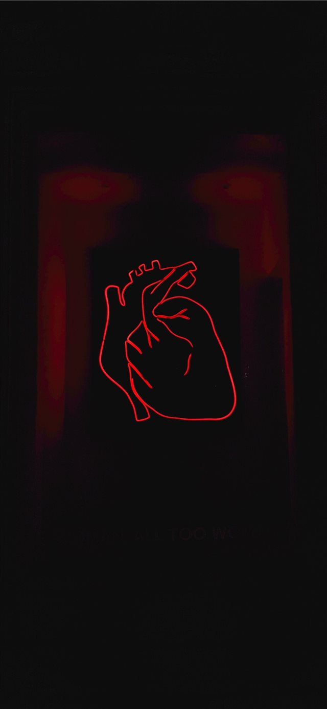 3 Wallpapers In neon sign Wallpapers For iPhone X