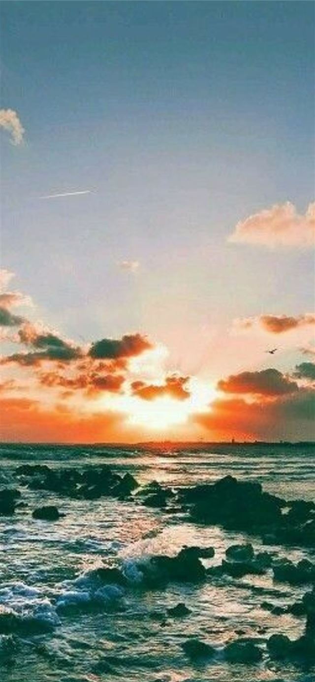 1125x2436 Big Sur - trends iPhone X Wallpaper