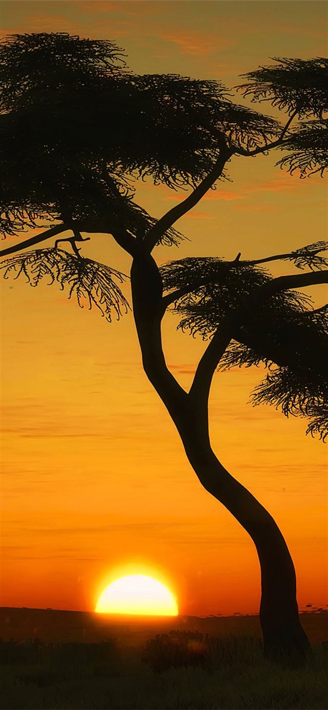 1125x2436 masai mara sunrise - sunrise iPhone X Wallpaper
