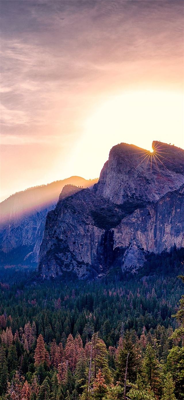 1125x2436 yosemite valley morning - valley iPhone X Wallpaper