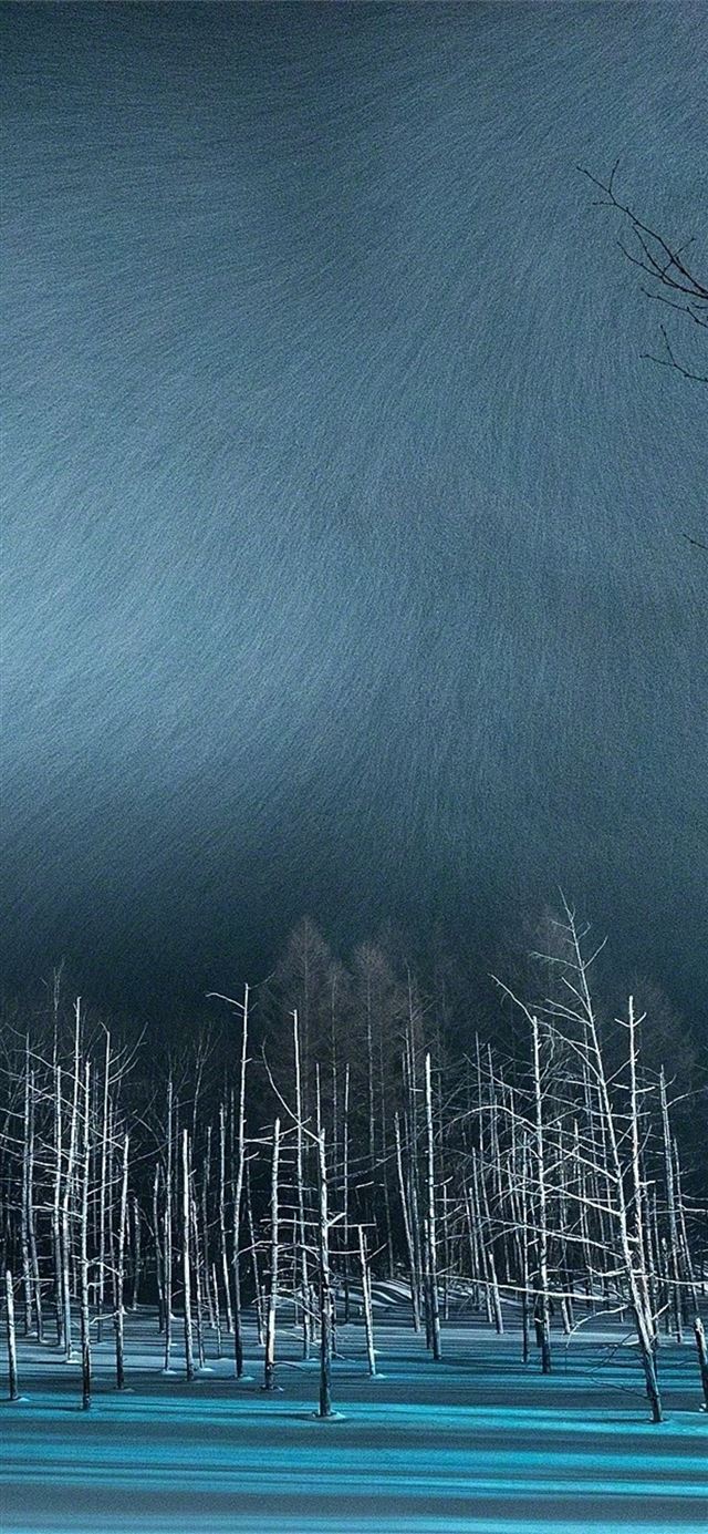 1125x2436 winter night snow trees - night iPhone X Wallpaper