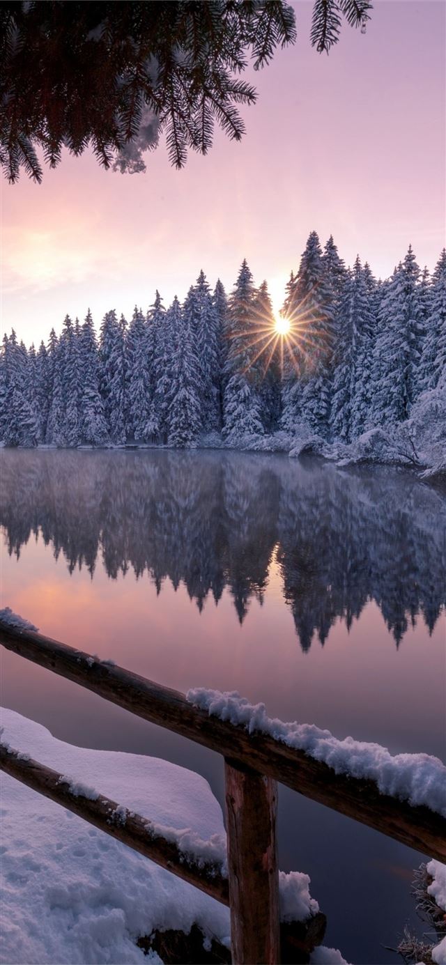 1125x2436 winter snow trees nature outdoors - snow iPhone X Wallpaper