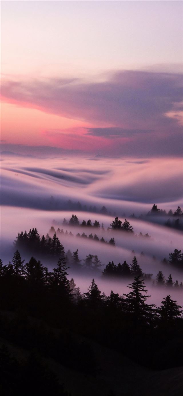 1125x2436 fog flow and storm clouds - clouds iPhone X Wallpaper
