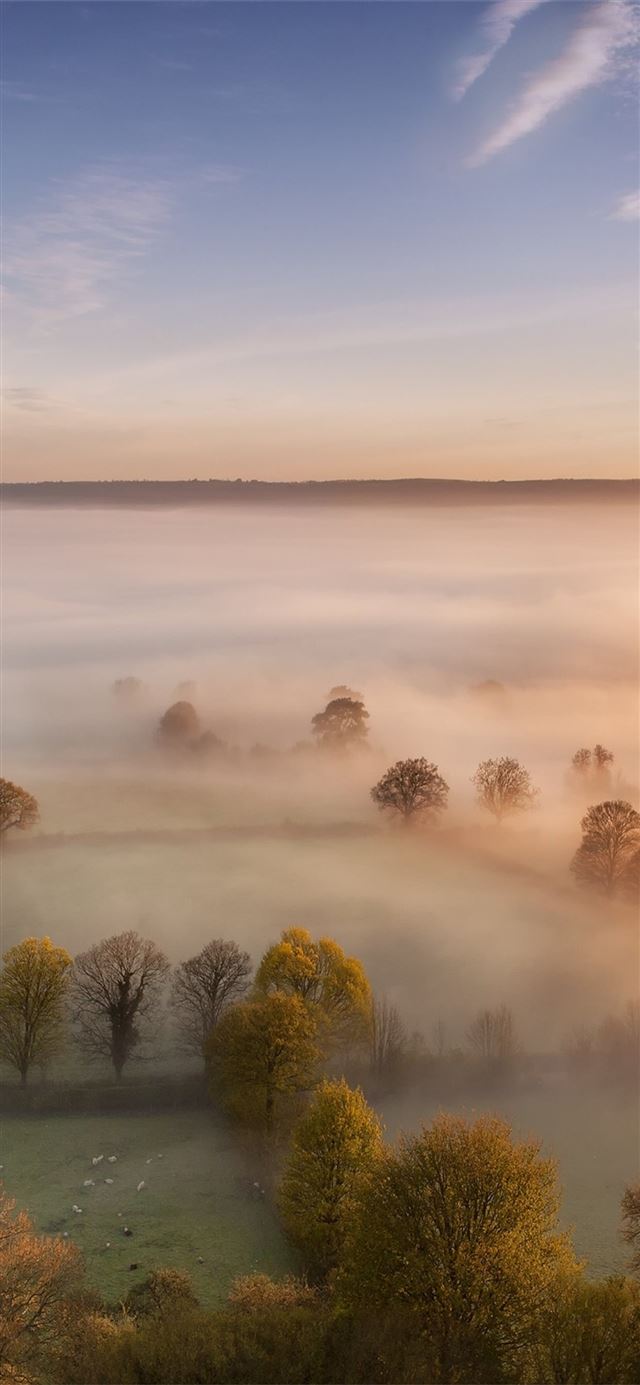 1125x2436 sky mist forest fall trees - scenery iPhone X Wallpaper