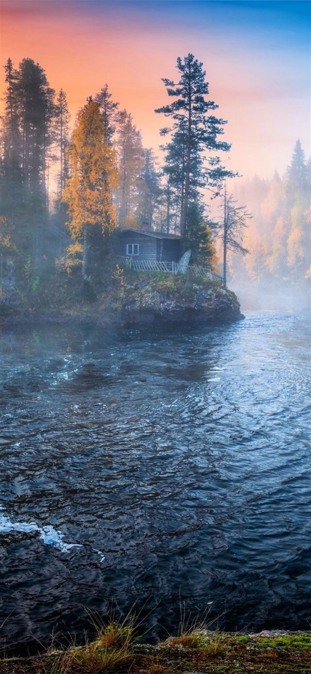 1125x2436 nature water trees fall landscape - landscape iPhone X Wallpaper