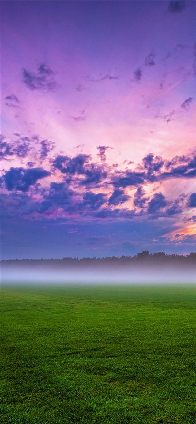 1125x2436 cloud field fog grass landscape 4k - landscape iPhone X Wallpaper