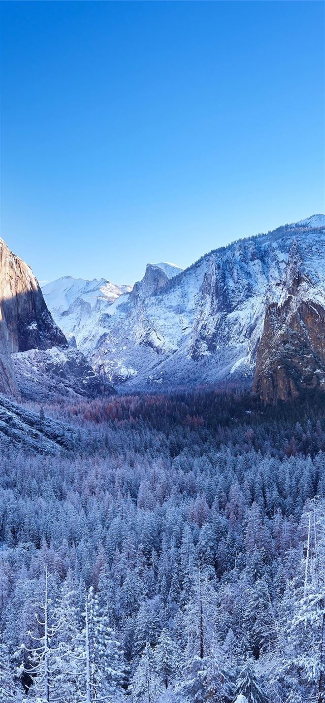 1125x2436 yosemite winter morning 4k - valley iPhone X Wallpaper