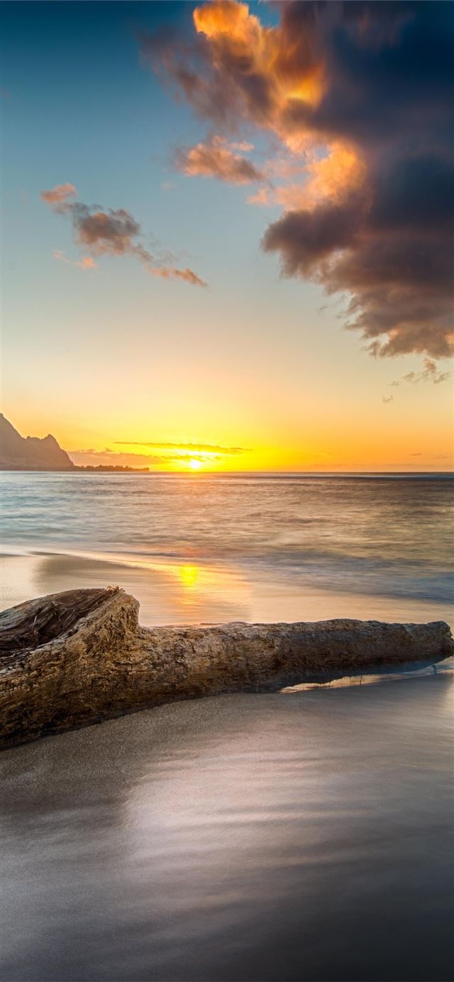 1125x2436 driftwood on beach at sunset on north shore of kau... - 8k iPhone X Wallpaper