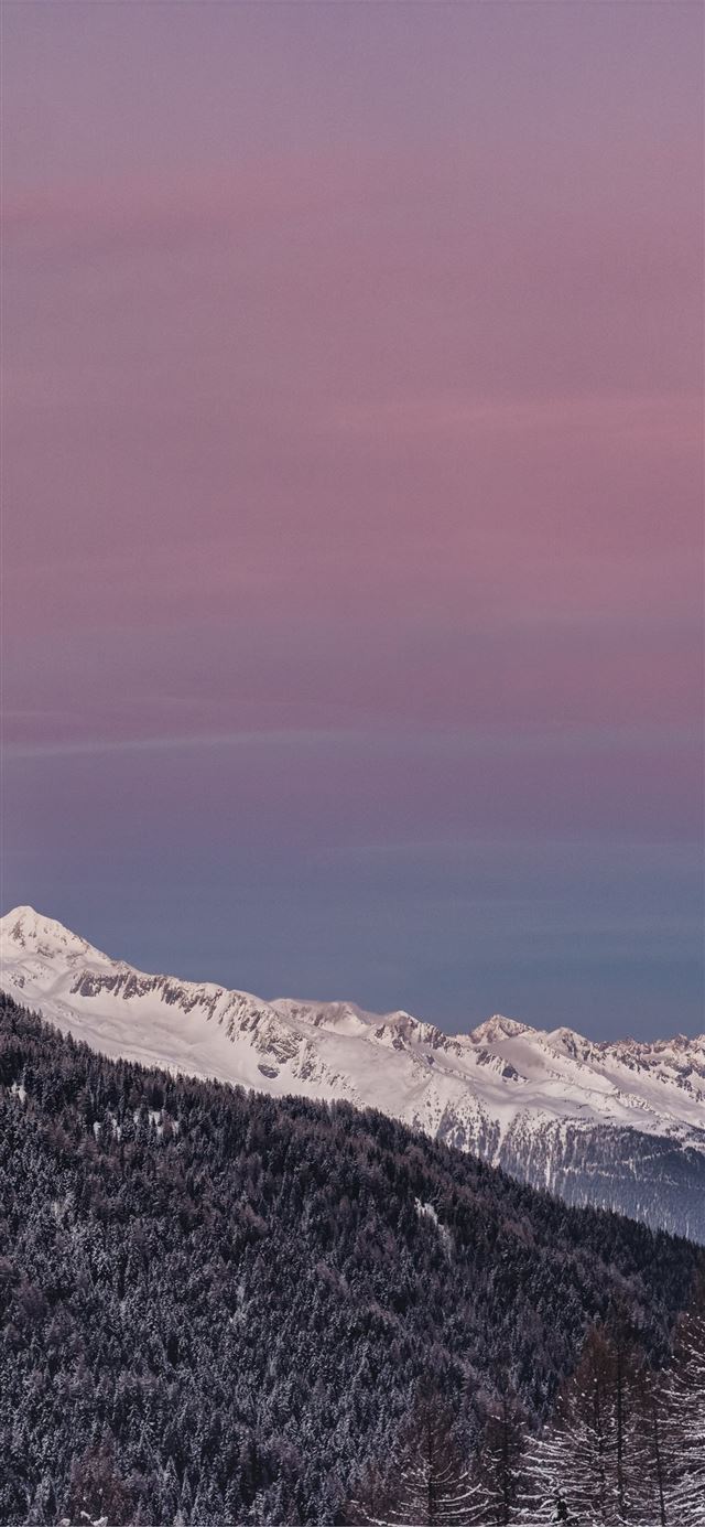 1125x2436 mountain covered with snow and surrounedd in trees... - snow iPhone X Wallpaper