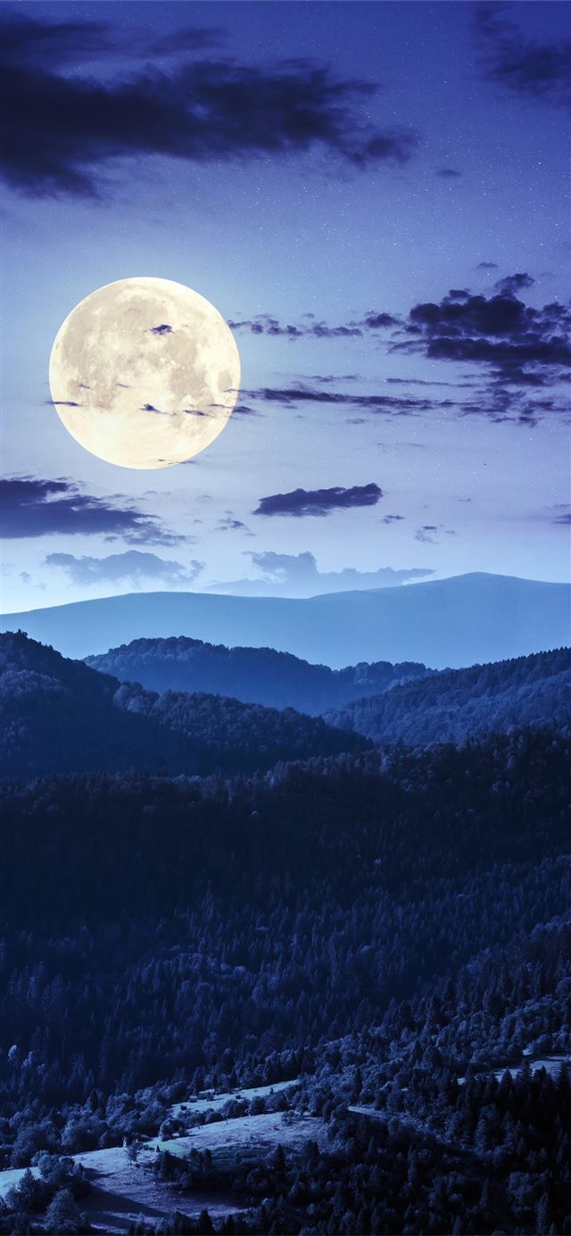 1125x2436 forest night moon clouds 4k -  iPhone X Wallpaper