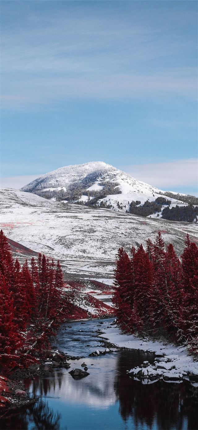 1125x2436 yellowstone national park 5k - snow iPhone X Wallpaper