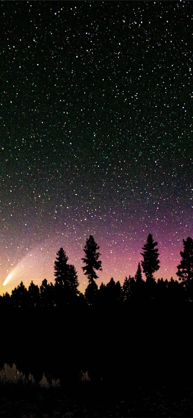 1125x2436 comet in the pines - space iPhone X Wallpaper