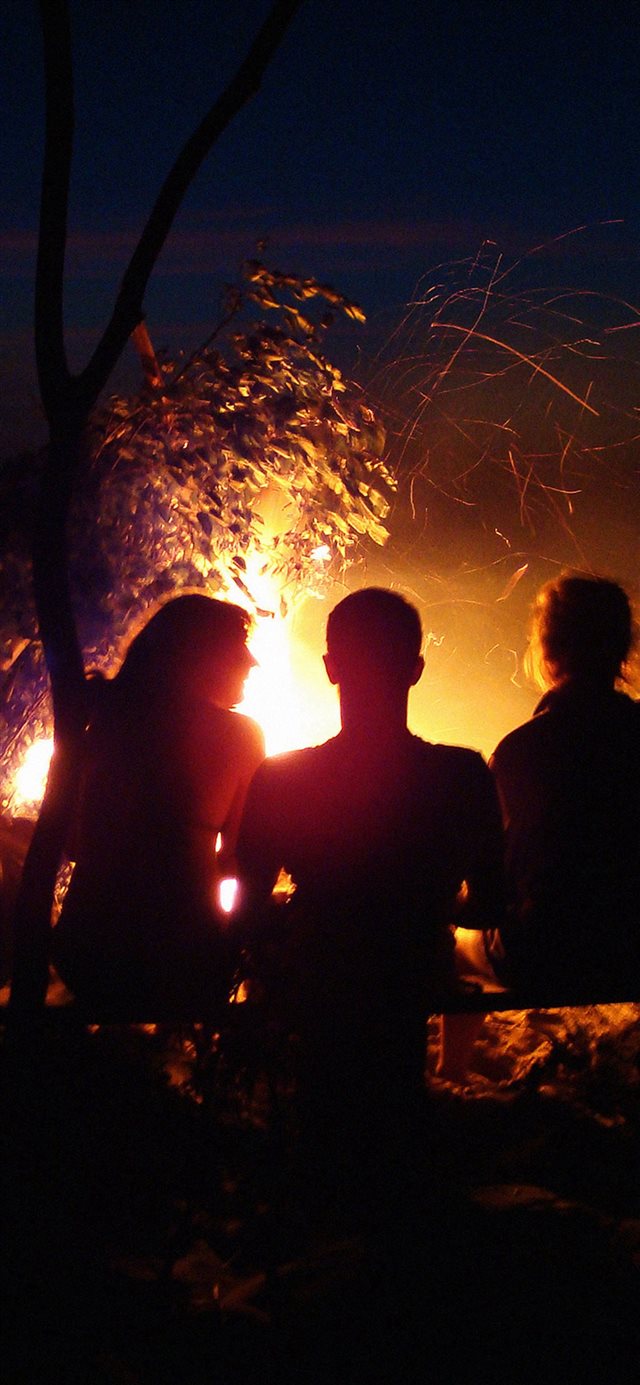 1125x2436 Beach Bonfire Night Camp - branch iPhone X Wallpaper