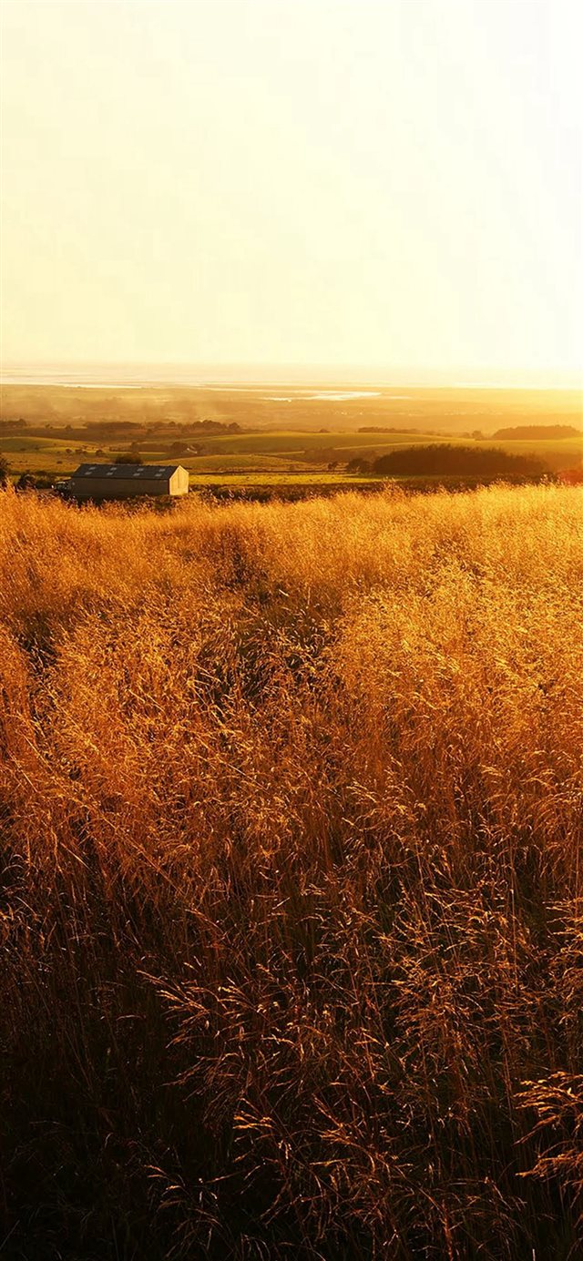 1125x2436 The Gladiator Farm Nature - orange iPhone X Wallpaper