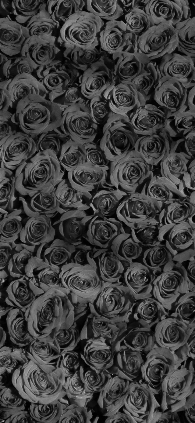 1125x2436 Rose Dark Bw Pattern - shadow iPhone X Wallpaper