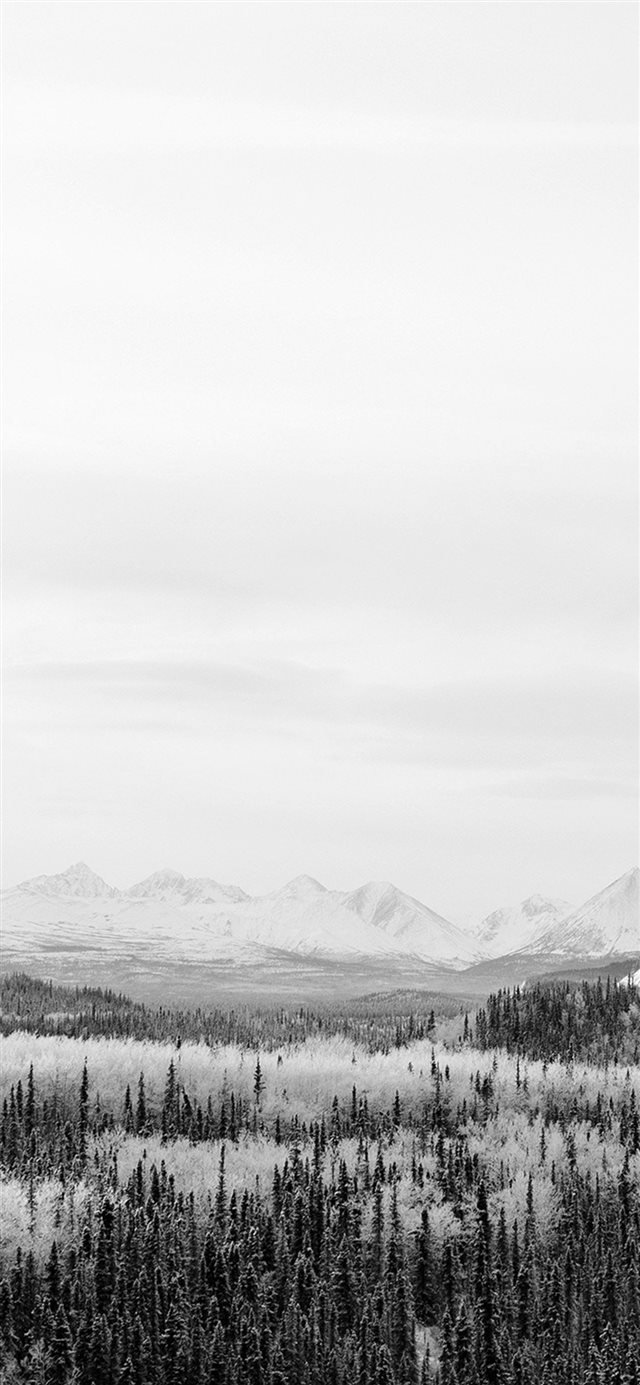 1125x2436 Winter Mountain Wood Nature Snow Bw - winter iPhone X Wallpaper