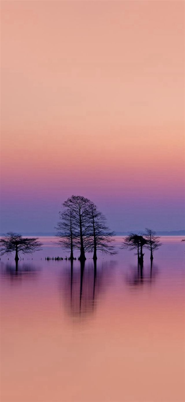 1125x2436 Minimal Lake Lonely Trees Reflection Scene - minimal iPhone X Wallpaper