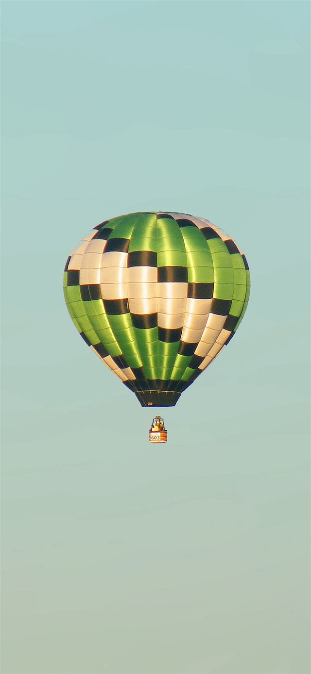 1125x2436 Fly Green Home Balloon - green iPhone X Wallpaper